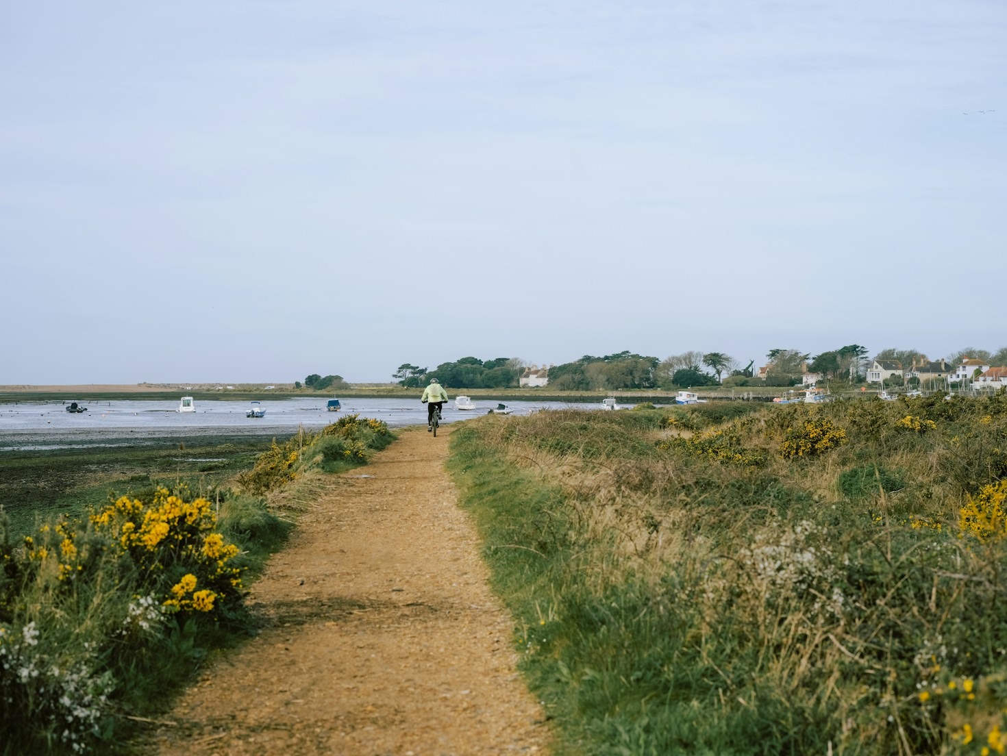 Read more about the article Exploring Scenic Coastlines: A Cyclist’s Paradise